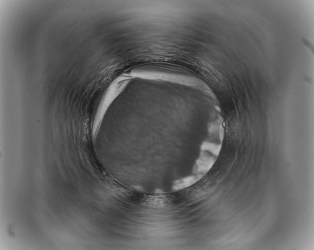 X0000097770127200803281648