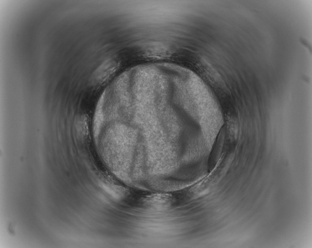 X0000097770128200803281648