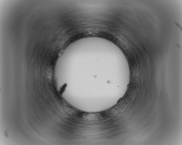 X0000097770129200803281648