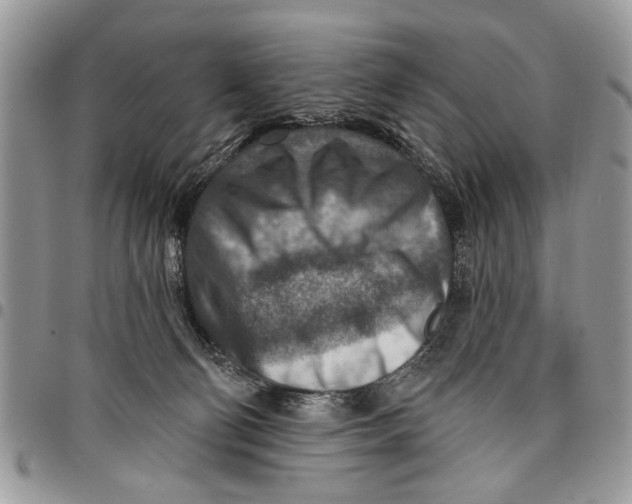 X0000097770130200803281648