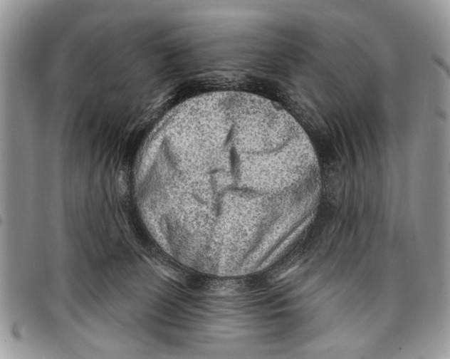 X0000097770131200803281648