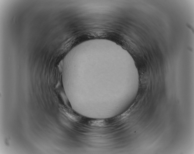 X0000097770132200803281648