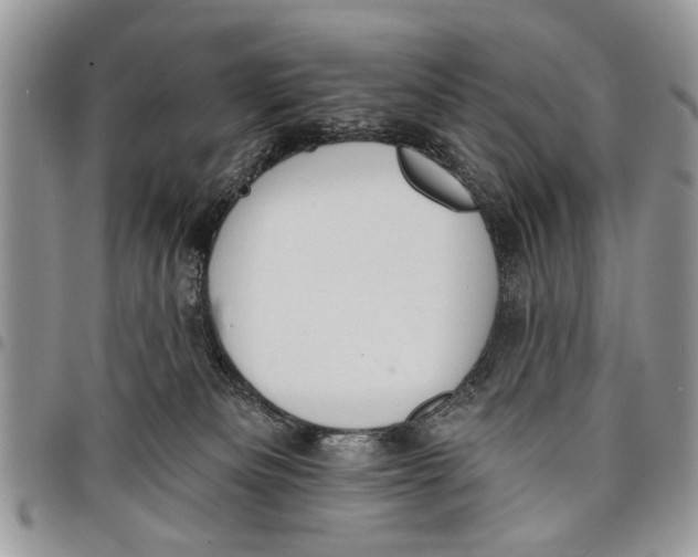 X0000097770133200803281648