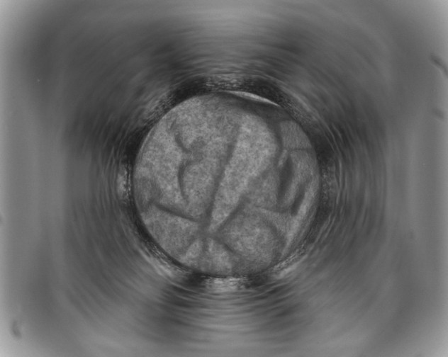 X0000097770134200803281648