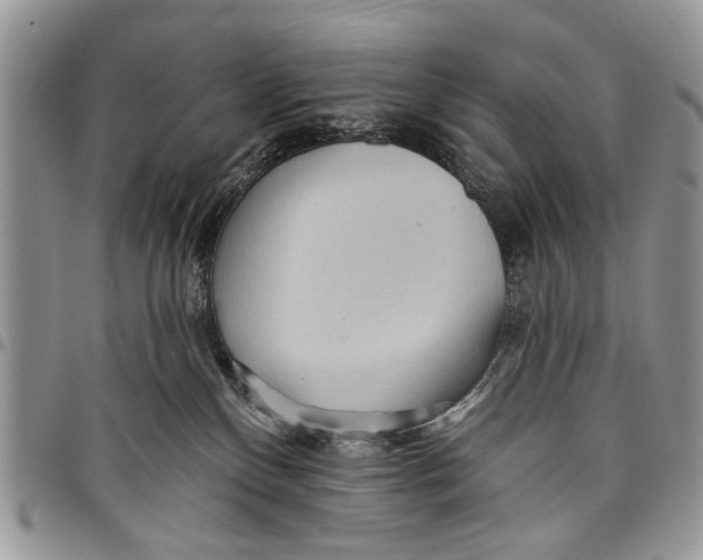 X0000097770136200803281648