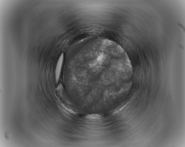 X0000097770137200803281648