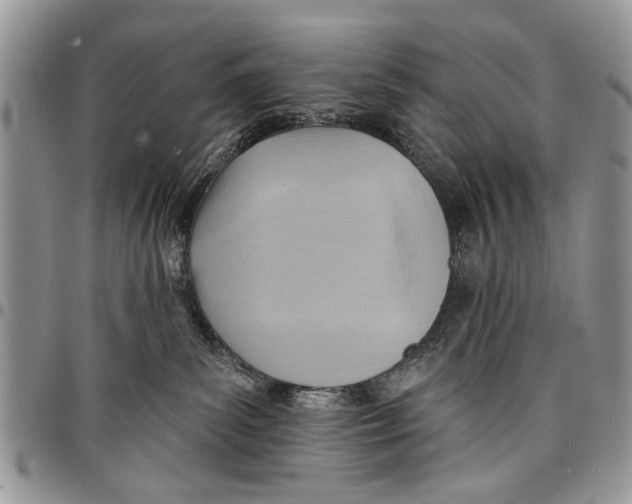 X0000097770139200803281648