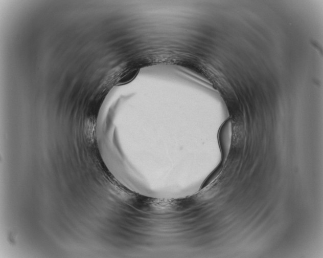 X0000097770142200803281648