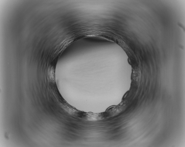 X0000097770143200803281648