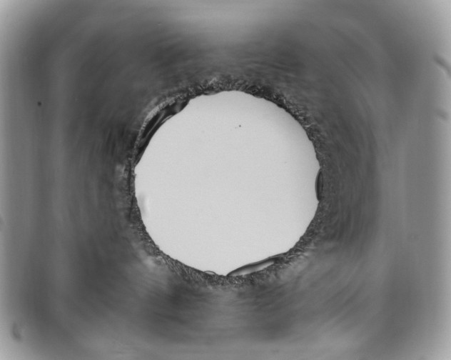 X0000097770144200803281648