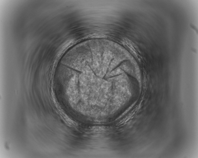 X0000097770145200803281647