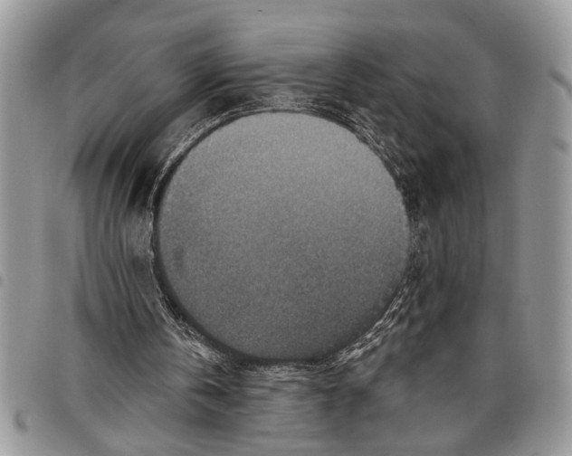 X0000097770146200803281647