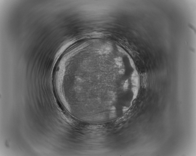 X0000097770147200803281647