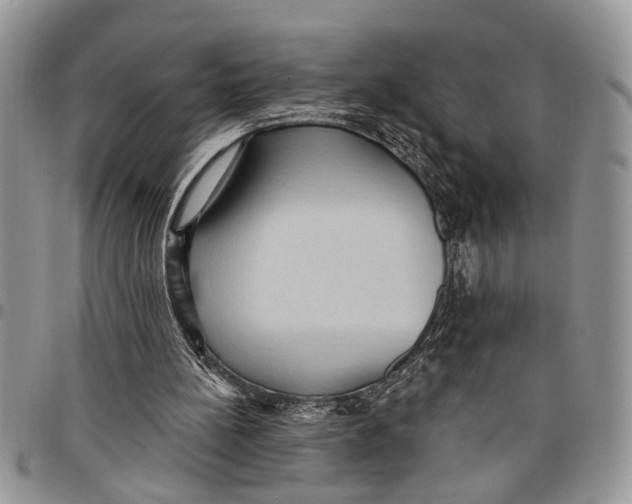 X0000097770148200803281647