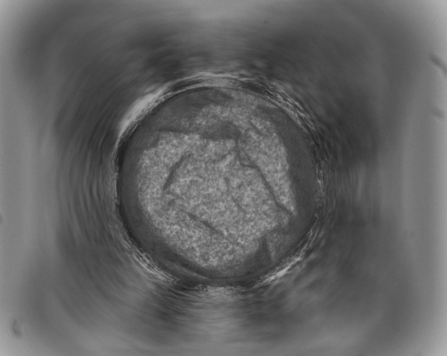 X0000097770149200803281647