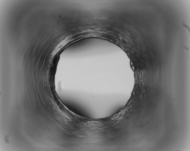 X0000097770150200803281647