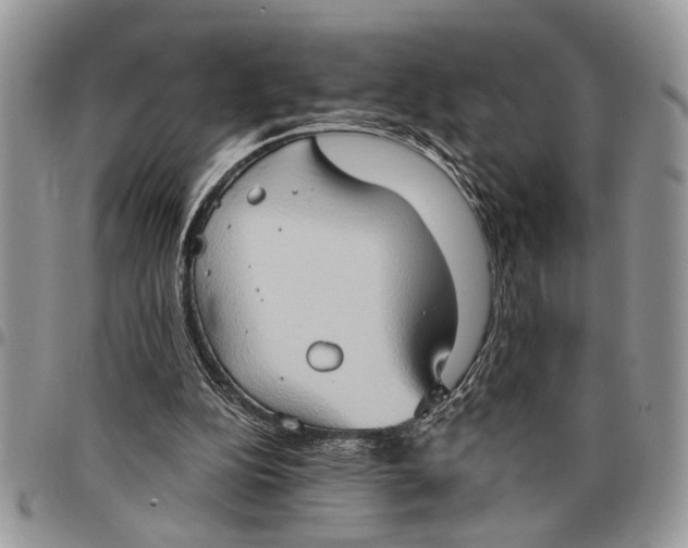 X0000097770152200803281647