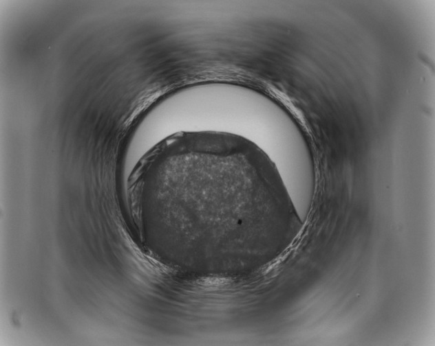 X0000097770154200803281647