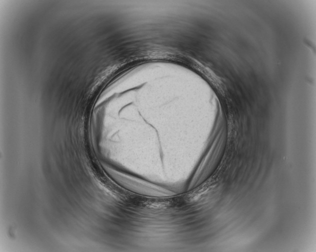 X0000097770155200803281647