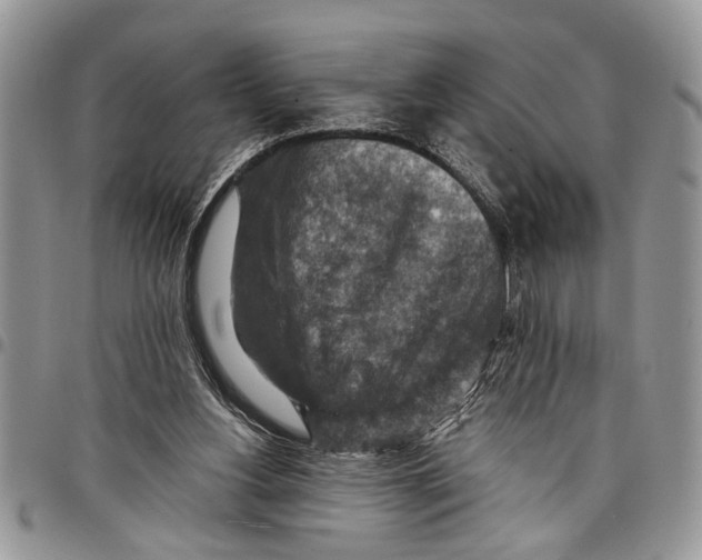 X0000097770156200803281647