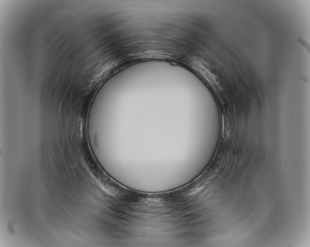 X0000097770157200803281647