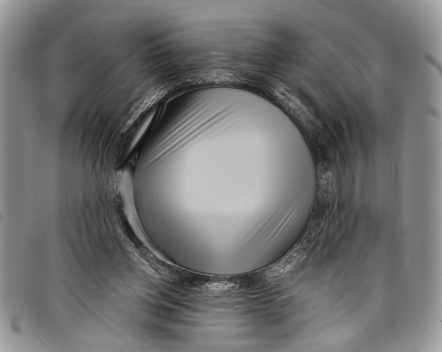 X0000097770158200803281647