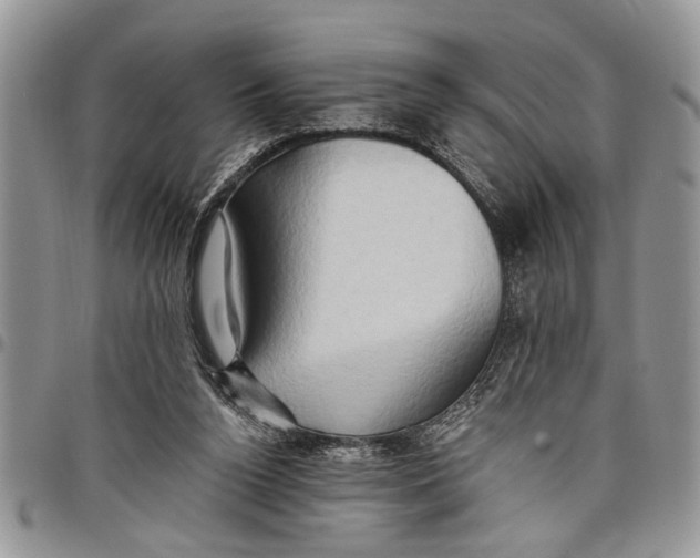 X0000097770160200803281647