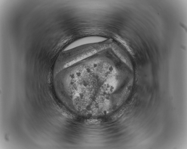 X0000097770161200803281647