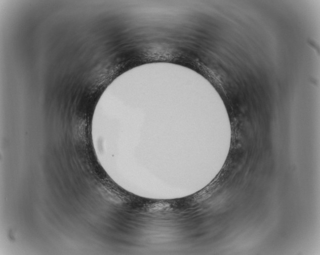 X0000097770162200803281647