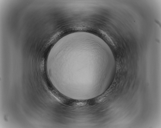 X0000097770163200803281647