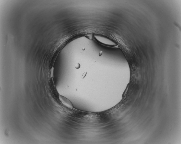 X0000097770164200803281647