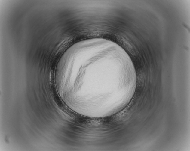 X0000097770166200803281647