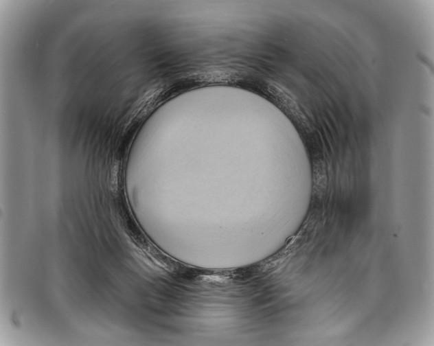 X0000097770167200803281647