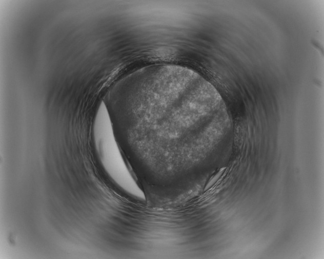 X0000097770168200803281647