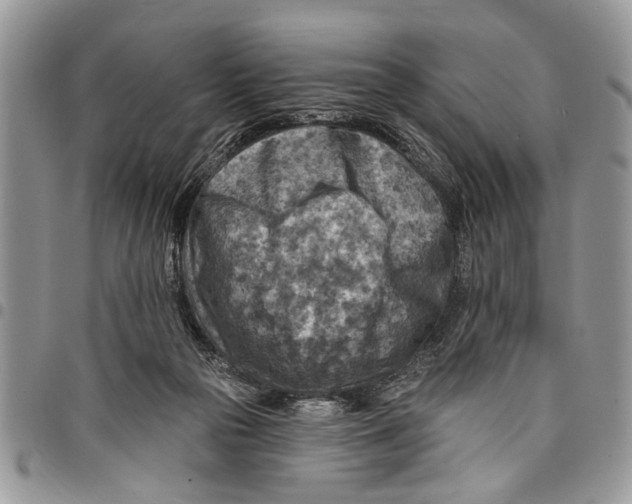 X0000097770169200803281647