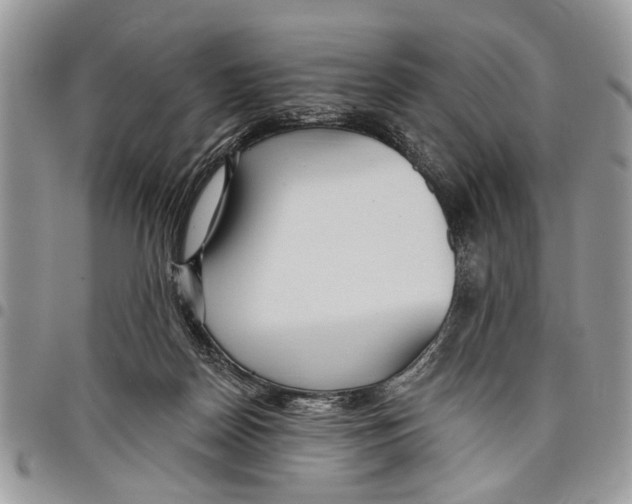 X0000097770170200803281647