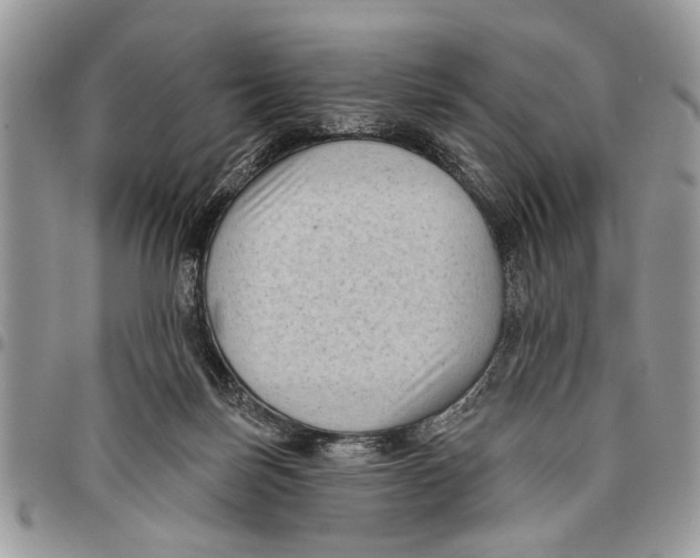 X0000097770171200803281647