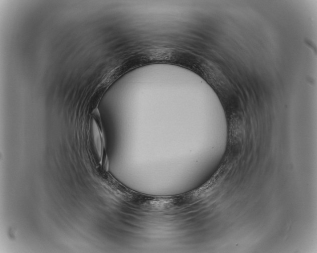 X0000097770172200803281647