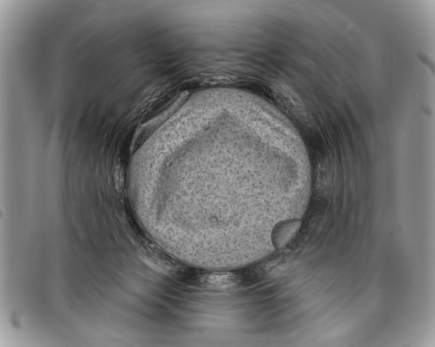 X0000097770173200803281647