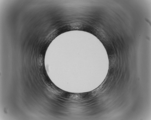 X0000097770174200803281647