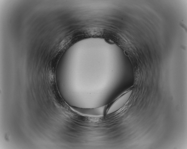 X0000097770176200803281648