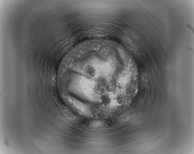 X0000097770177200803281648