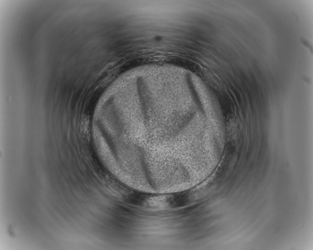 X0000097770178200803281648