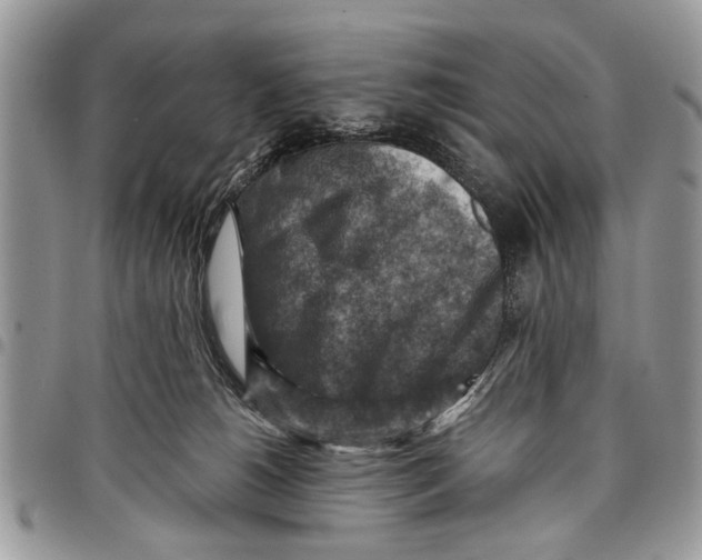 X0000097770180200803281648