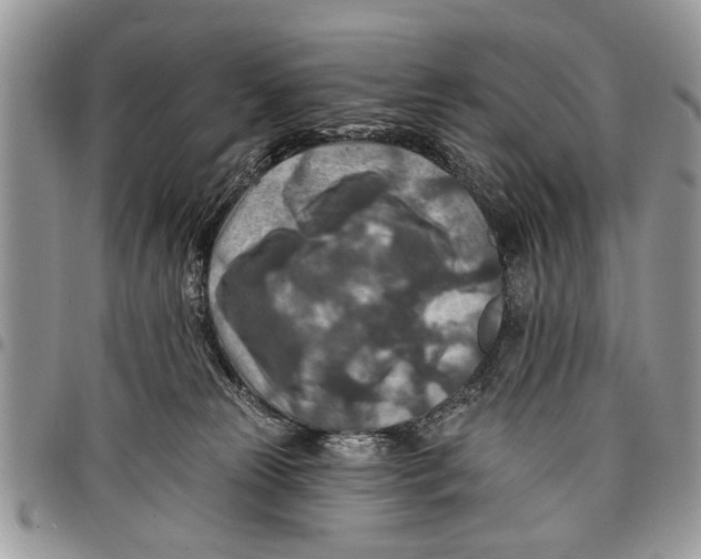 X0000097770181200803281648