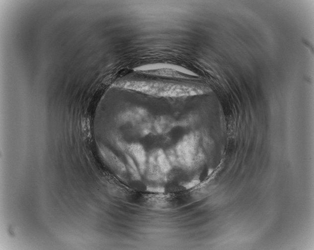 X0000097770182200803281648