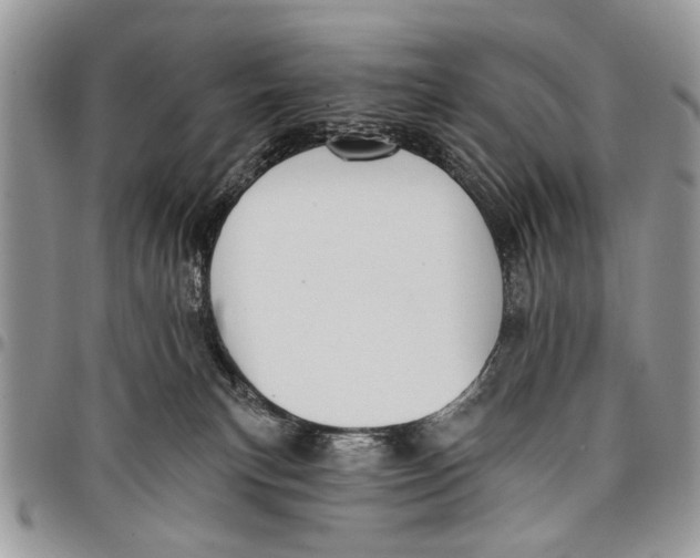 X0000097770183200803281648