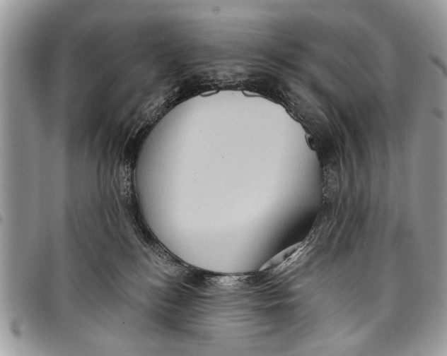 X0000097770184200803281648