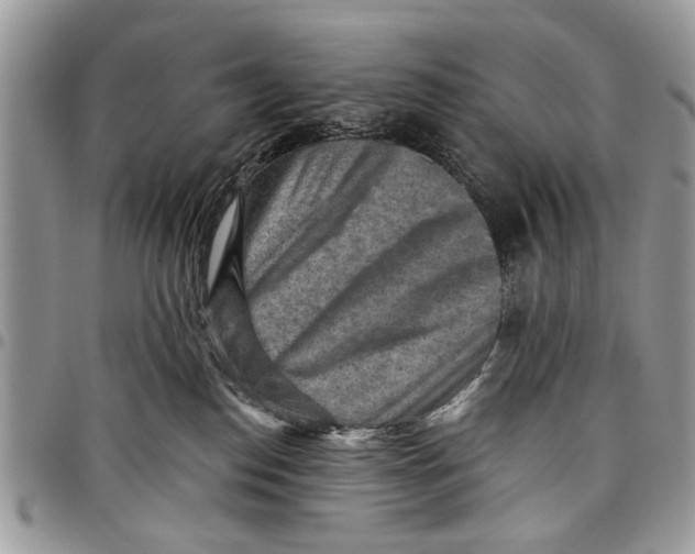 X0000097770186200803281648