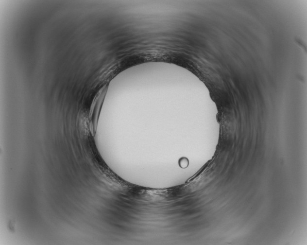 X0000097770188200803281648